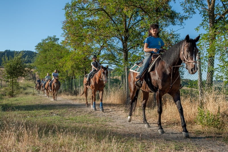 Passeggiata a cavallo Bologna Maneggio Il Ranch