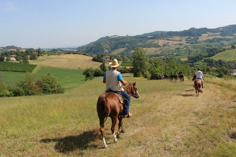 Trekking a cavallo maneggio Il Ranch Bologna