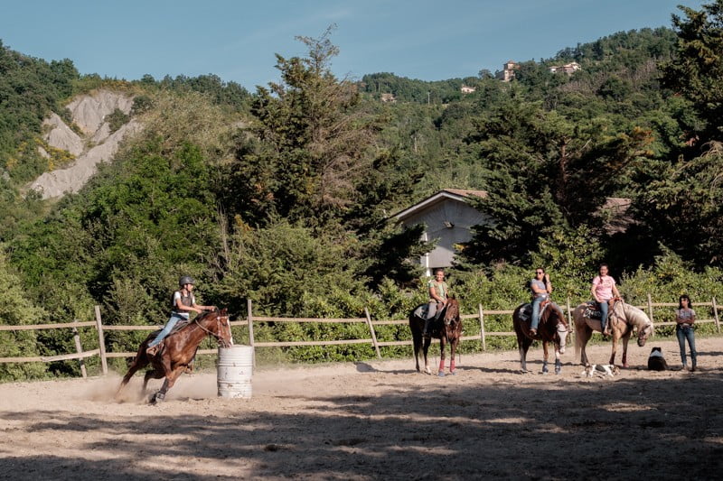 Scuola di Barrel Racing Maneggio Il Ranch Bologna