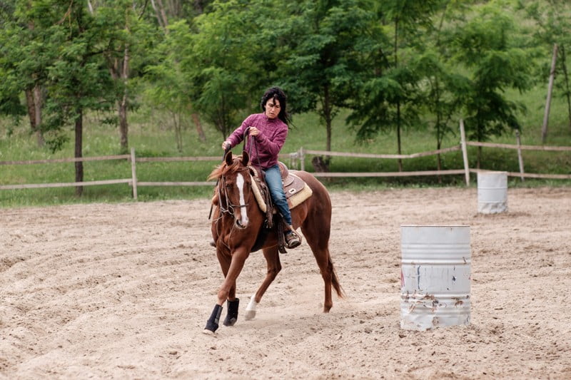 Doma e addestramento cavalli Maneggio il Ranch Bologna