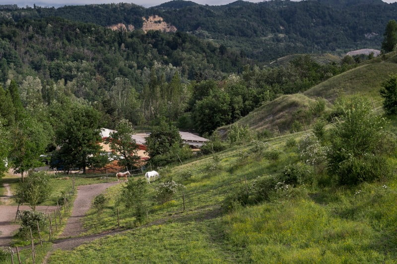 Paddock per cavalli maneggio Il Ranch Bologna