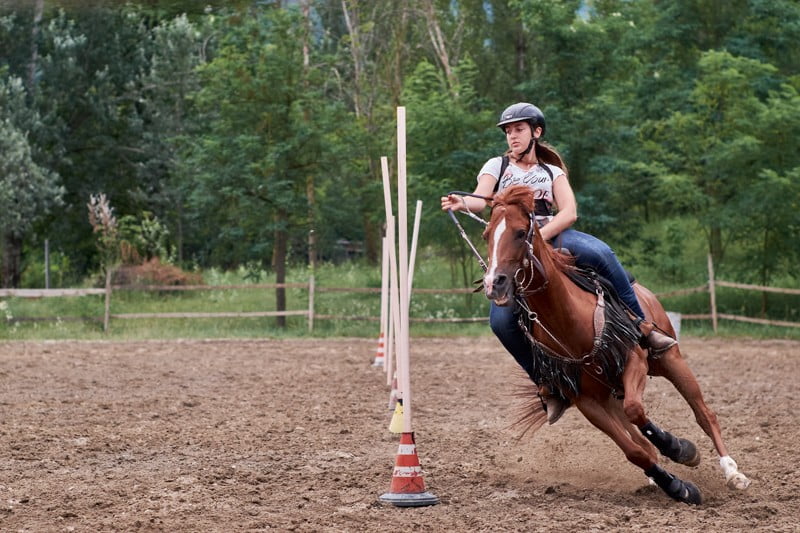 Scuola di Pole Bending maneggio Il Ranch Bologna