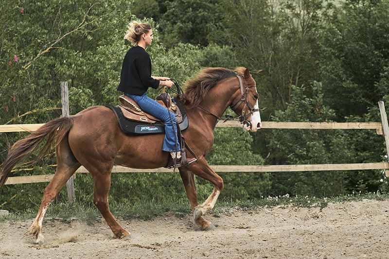 lezioni di monta americana Il Ranch Bologna