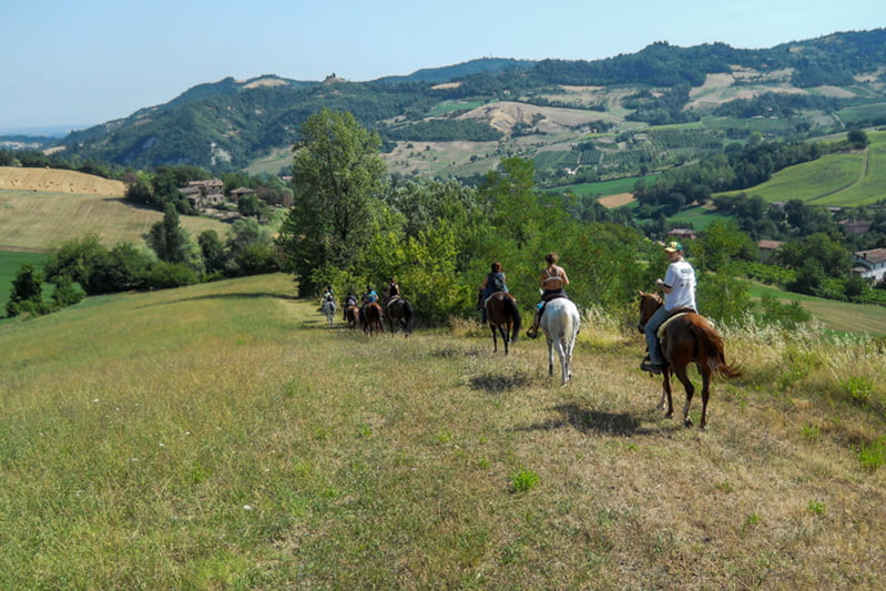 Trekking a cavallo maneggio Il Ranch Bologna