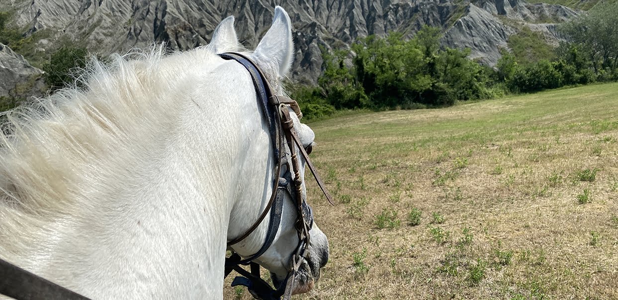 Giro a cavallo Maneggio Il Ranch Bologna