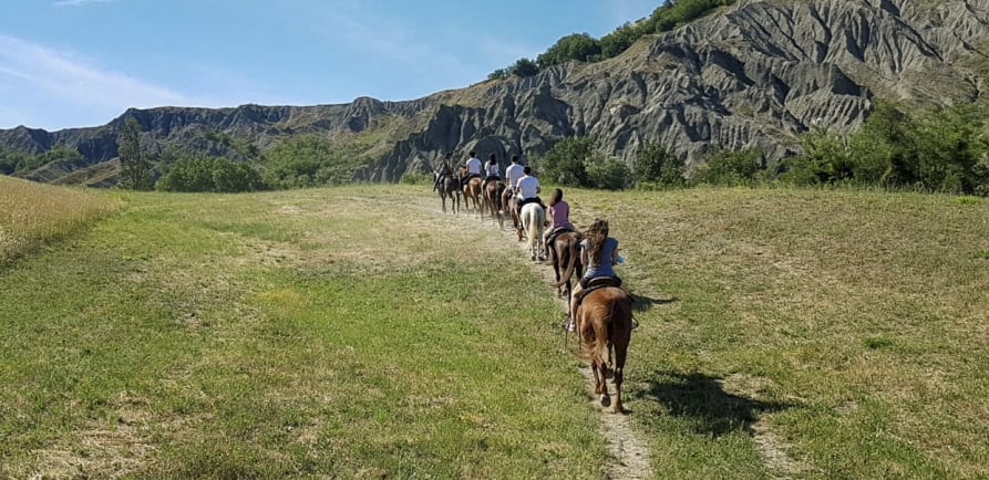 Passeggiate a cavallo Bologna Maneggio Il Ranch