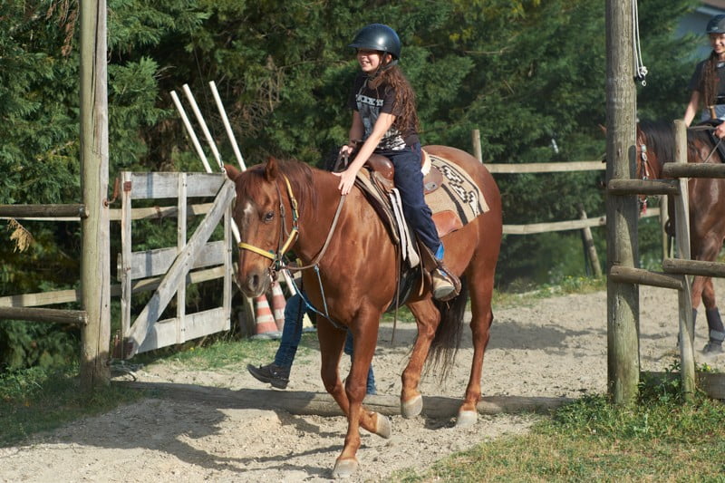 Equitazione per bambini con quarter horse Il Ranch Bologna