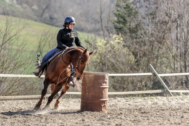 Scuola di equitazione per bambini maneggio Il Ranch Bologna