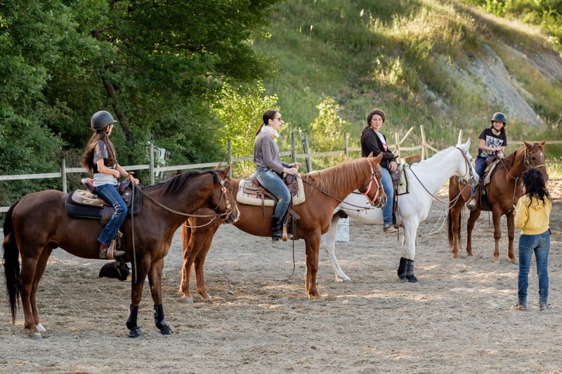 Lezioni di monta americana Maneggio Il Ranch Bologna